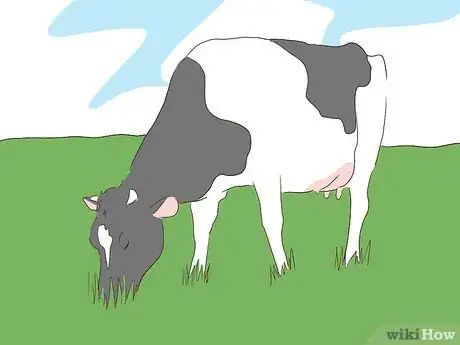 Imagen titulada Wean Cattle Step 9