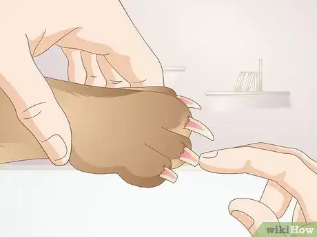 Imagen titulada Avoid the Quick when Trimming Your Dog's Nails Step 2