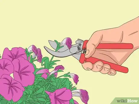 Imagen titulada Prune Petunias Step 4