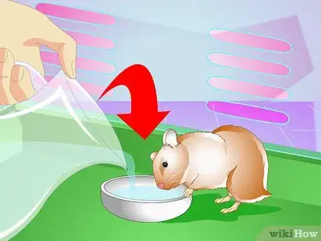 Imagen titulada Make Your Hamster Live Longer Step 5