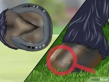 Imagen titulada Pick a Horse Hoof Step 12