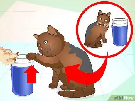 Imagen titulada Teach Your Cat to Do Tricks Step 12