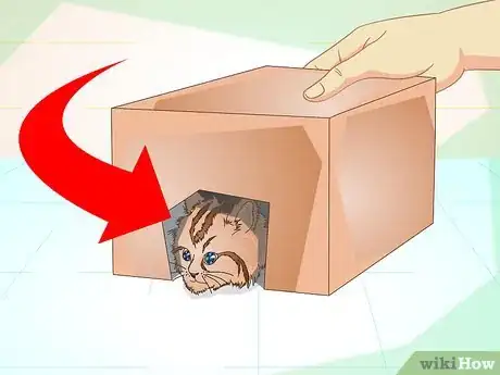 Imagen titulada Get a Sick Kitten to Eat Step 11