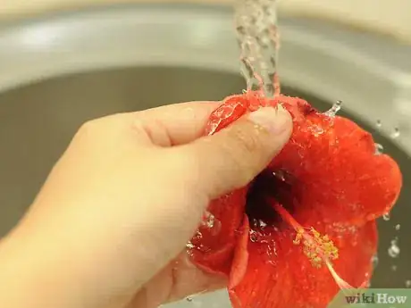 Imagen titulada Make Shampoo With Hibiscus Flowers and Leaves Step 2