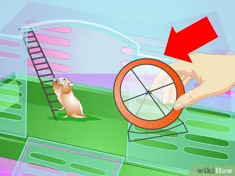 Imagen titulada Make Your Hamster Live Longer Step 3