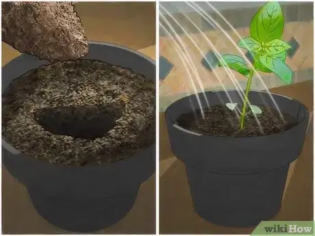 Imagen titulada Grow an Indoor Herb Garden Step 13