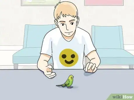 Imagen titulada Stop a Parakeet from Biting Step 5