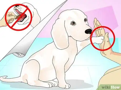 Imagen titulada Teach Your Dog to Do a High Five Step 9