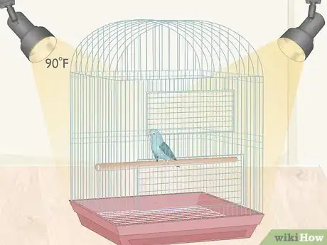 Imagen titulada Care for a Sick Pet Bird at Home Step 1