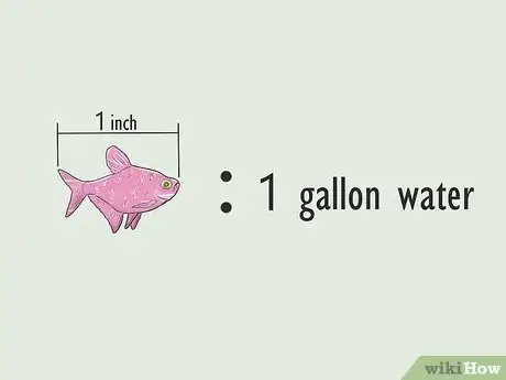 Imagen titulada Know How Many Fish You Can Place in a Fish Tank Step 3