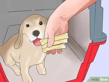 Imagen titulada Train or Help a Puppy Stop Crying when Locked up or Outside Step 11