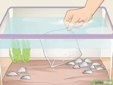 Imagen titulada Care for Frog Eggs Step 7