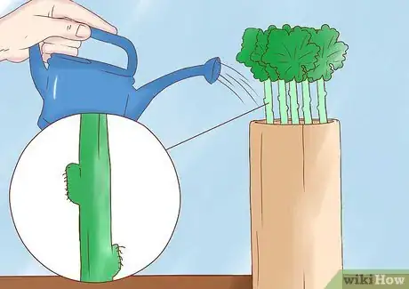 Imagen titulada Propagate Geraniums from Cuttings Step 11