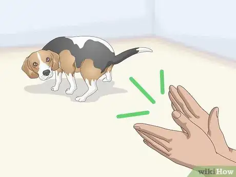 Imagen titulada Train Your Beagle Step 11