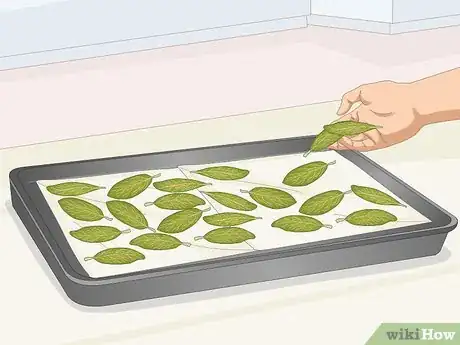 Imagen titulada Dry Bay Leaves Step 2