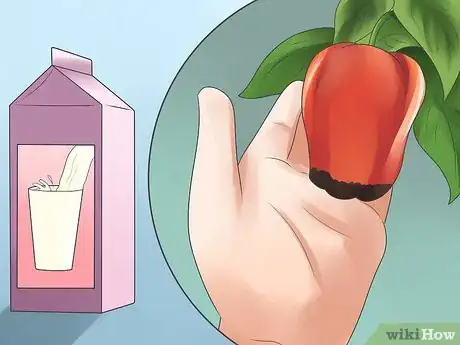 Imagen titulada Grow Bell Peppers Step 16