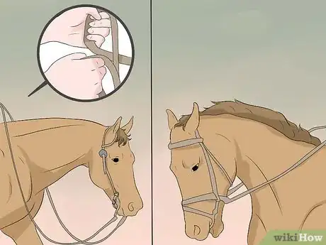 Imagen titulada Hold a Horse's Reins Step 7