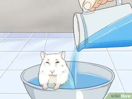 Imagen titulada Give Your Hamster a Bath Step 14