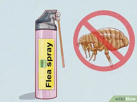 Imagen titulada Tell if Your Dog Has Fleas Step 11