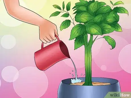 Imagen titulada Winterize a Perennial Hibiscus Step 15