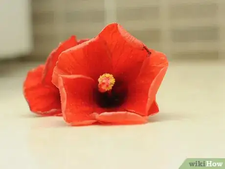 Imagen titulada Make Shampoo With Hibiscus Flowers and Leaves Step 1