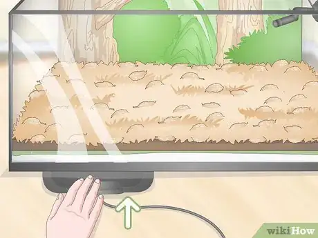 Imagen titulada Build a Vivarium Step 11