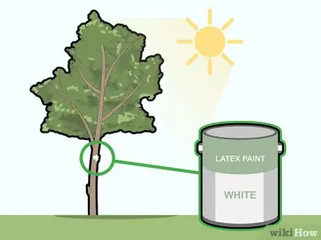 Imagen titulada Prune Pecan Trees Step 12