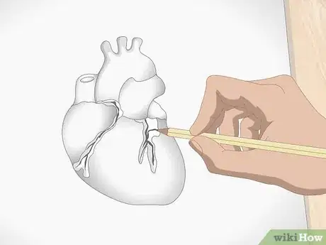 Imagen titulada Draw a Human Heart Step 9