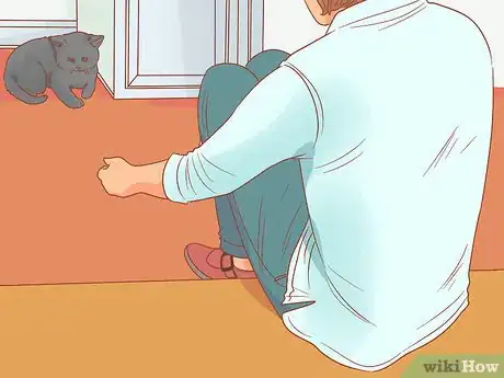 Imagen titulada Encourage Your New Cat to Come Out of Hiding Step 2