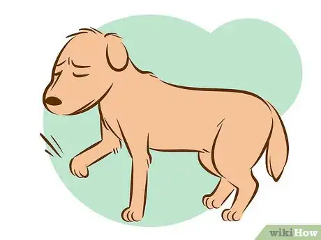 Imagen titulada Recognize a Dying Dog Step 3