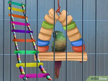 Imagen titulada Care for a Conure Step 6