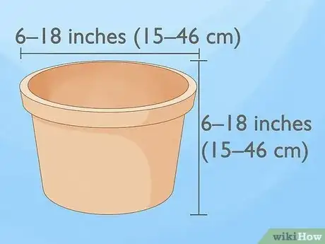 Imagen titulada Grow Roses in Containers Step 1