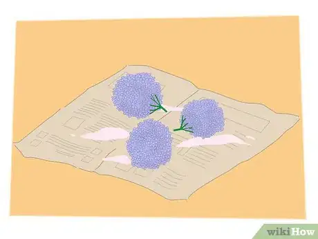 Imagen titulada Dry Hydrangeas Step 7