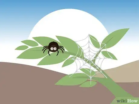 Imagen titulada Overcome the Fear of Spiders Step 14