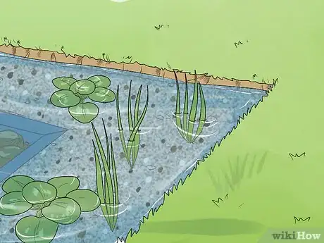 Imagen titulada Build Natural Swimming Pools Step 19