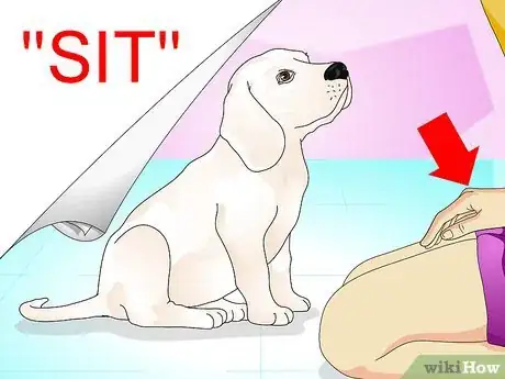 Imagen titulada Teach Your Dog to Do a High Five Step 6