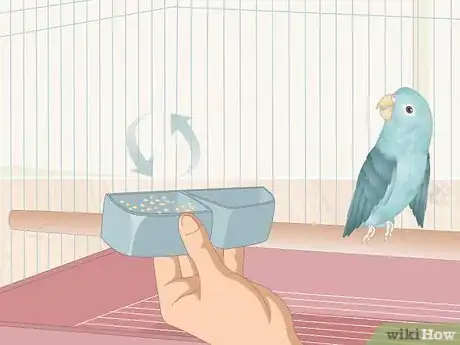 Imagen titulada Care for a Sick Pet Bird at Home Step 6