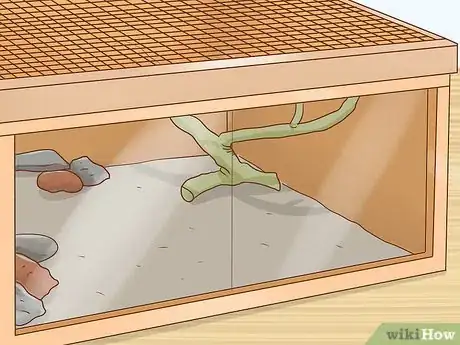 Imagen titulada Care for Bearded Dragons Step 11