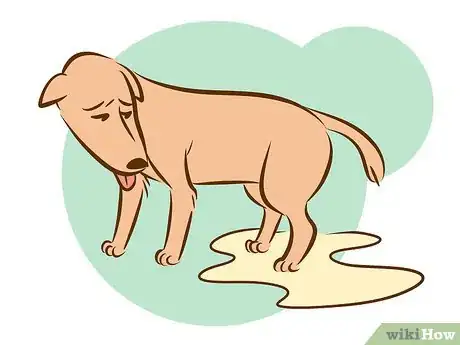 Imagen titulada Recognize a Dying Dog Step 4