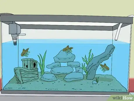 Imagen titulada Lower Ammonia Levels in Your Fish Tank Step 3