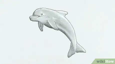 Imagen titulada Draw a Dolphin Step 21