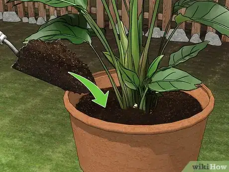 Imagen titulada Fill a Tall Planter Step 15