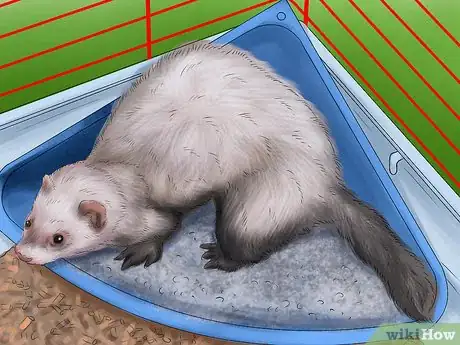 Imagen titulada Litter Train Your Ferret Step 3