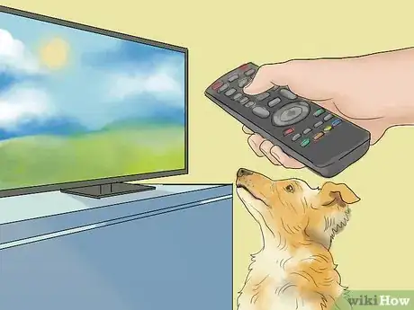 Imagen titulada Calm a Dog During Thunderstorms Step 5