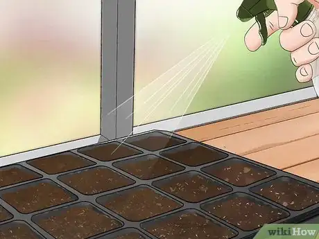 Imagen titulada Grow Rosemary from Seed Step 13