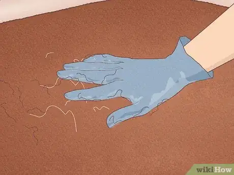 Imagen titulada Remove Hair from a Carpet Without Vacuuming Step 3