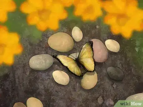 Imagen titulada Attract Butterflies Step 6