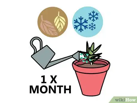 Imagen titulada Care for Succulents Step 6