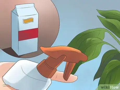 Imagen titulada Grow Bell Peppers Step 15