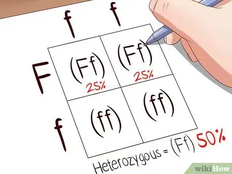 Imagen titulada Make a Punnett Square Step 7